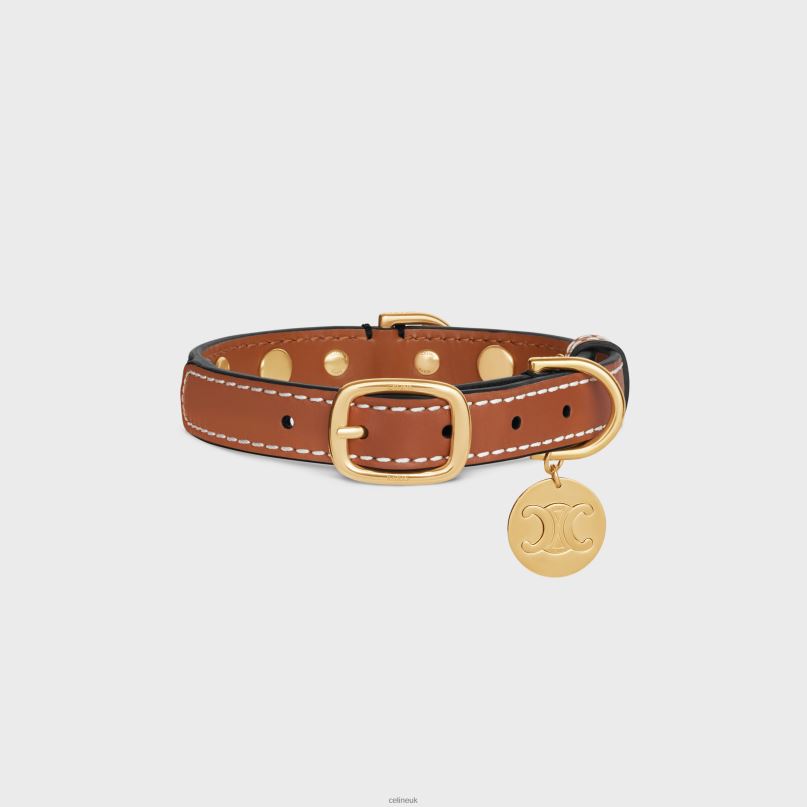 Small Thin Dog Collar in Triomphe Canvas & Calfskin With Studs Tan CELINE NB84T1752 Accessories Men